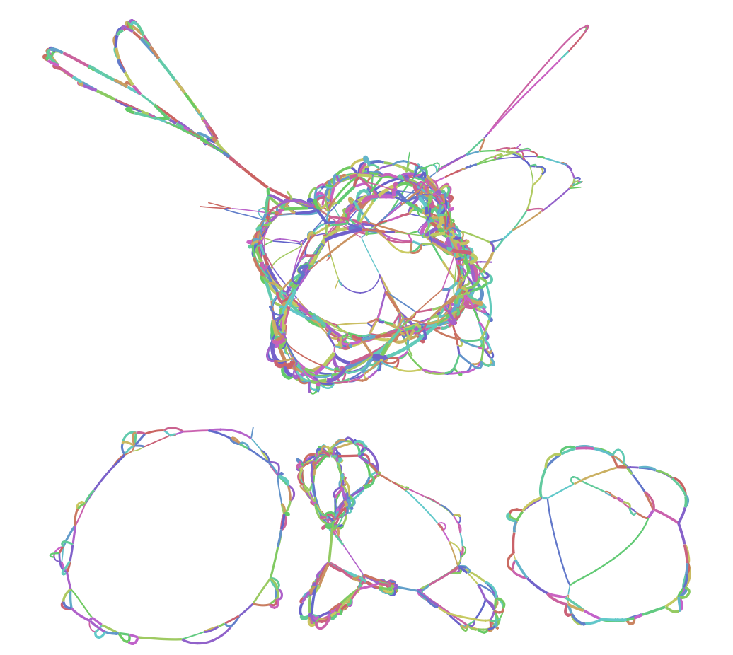 An assembly graph representing several circular bacterial chromosomes from a real human oral microbiome.